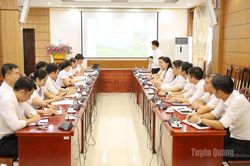 Phát huy hiệu quả Quỹ Bảo vệ và Phát triển rừng