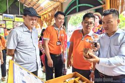 Chuẩn bị trước kỳ tái thẩm định Công viên địa chất toàn cầu UNESCO Cao nguyên đá Đồng Văn