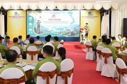 Tập huấn quy định mới về xử phạt vi phạm hành chính lĩnh vực lâm nghiệp