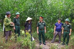 Xác minh mộ liệt sĩ thời kháng chiến chống Pháp từ thông tin của người dân
