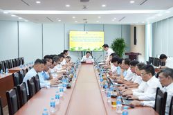 TKV triển khai đồng bộ c&aacute;c giải ph&aacute;p ho&agrave;n th&agrave;nh kế hoạch sản xuất, ti&ecirc;u thụ than th&aacute;ng 7/2026