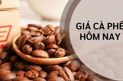 Ngày 8/7: Giá cà phê tăng kỷ lục, hồ tiêu neo ở mức 135.000 đồng/kg
