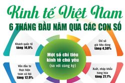 Infographics: Những điểm sáng kinh tế Việt Nam 6 tháng đầu năm qua các con số