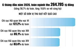 Infographics: Ng&agrave;nh Hải quan thu ng&acirc;n s&aacute;ch 6 th&aacute;ng đạt 264.795 tỷ đồng