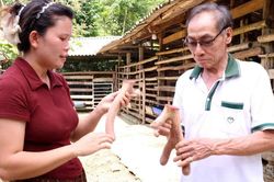 Tuy&ecirc;n Quang: Nh&acirc;n rộng nu&ocirc;i hươu lấy nhung cho hiệu quả kinh tế cao ở B&igrave;nh An
