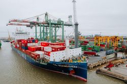 Quỹ Leadvisors hạ sở hữu tại Viconship xuống còn 10,68%