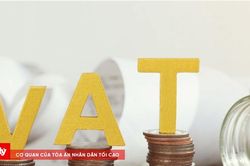 Cần Thơ quyết liệt xử lý hơn 700 doanh nghiệp nợ thuế nghìn tỷ