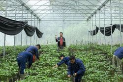 Doanh nghiệp chờ 'cởi trói' để thúc đẩy sản xuất