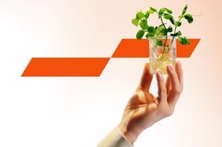 Để vốn xanh không còn là cánh cửa khó mở