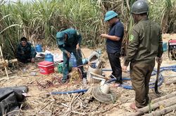 UBND tỉnh đề nghị sớm kiểm tra, xử lý vi phạm các tổ chức, cá nhân liên quan