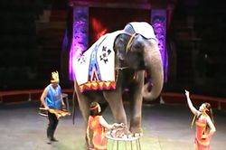 Nơi lưu giữ những giấc mơ tuổi thơ | Người Hà Nội | 08/07/2026