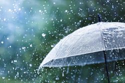 Đời ai cũng có bão giông