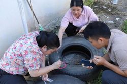 Chủ động ngăn ngừa nguy cơ dịch bệnh sốt xuất huyết