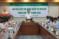 Phiên họp quý II/2026 Ban đại diện Hội đồng Quản trị Ngân hàng Chính sách xã hội tỉnh
