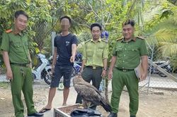 Vĩnh Long: Xử phạt người nuôi nhốt trái phép 6 cá thể chim hoang dã