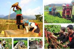 Lâm Đồng: Rà soát Chương trình MTQG phát triển kinh tế - xã hội vùng đồng bào DTTS và miền núi