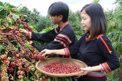 Đắk Lắk khát vọng trở thành khu vực phát triển hệ sinh thái kinh tế nông nghiệp đa giá trị