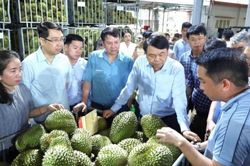Chuyển từ 'tiền kiểm' sang 'hậu kiểm' để thúc đẩy phát triển ngành hàng sầu riêng