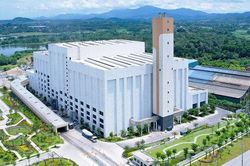 Chung tay xây dựng 'lá chắn xanh' cho vùng Thủ đô Hà Nội