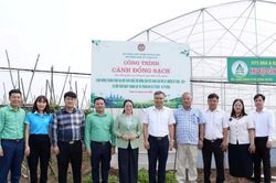 Nông dân xã Thuận An gắn sản xuất với bảo vệ môi trường