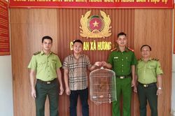 Người d&acirc;n giao nộp c&aacute; thể cu li qu&yacute; hiếm