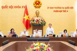 Thông qua nguyên tắc về thủ tục đưa người từ 12 - 18 tuổi đi cai nghiện bắt buộc