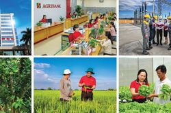 Tăng vốn điều lệ - đòn bẩy để Agribank tiếp tục dẫn dắt dòng vốn cho nền kinh tế