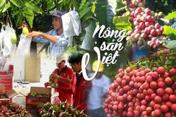 Gỡ điểm nghẽn thông quan, mở đường cho nông sản Việt tăng tốc xuất khẩu