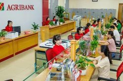 Bổ sung vốn điều lệ cho Agribank - Nâng cao năng lực tài chính, đáp ứng chuẩn mực quốc tế