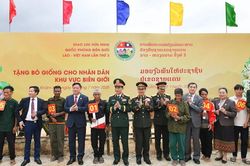 Khám bệnh, cấp thuốc, tặng sinh kế giúp người dân biên giới Việt Nam-Lào