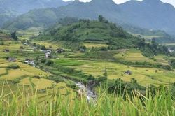 Lào Cai tổ chức giải đua xe đạp địa hình 'Mường Bo X-Rice vút bay trên sóng lúa vàng'