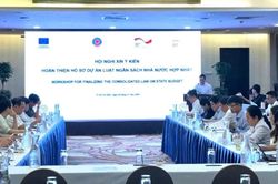Đề xuất hợp nhất Luật Ng&acirc;n s&aacute;ch nh&agrave; nước v&agrave; Luật Đầu tư c&ocirc;ng để khơi th&ocirc;ng nguồn lực ph&aacute;t triển