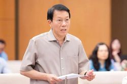Xử lý hình sự là biện pháp cuối cùng trong xử lý vi phạm kinh tế