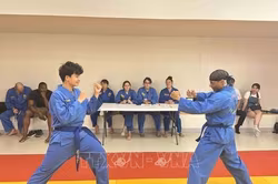 Vovinam trở thành cầu nối văn hóa Việt Nam tại Paris