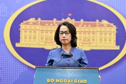 B&igrave;nh luận của Việt Nam về việc kết th&uacute;c đ&agrave;m ph&aacute;n Hiệp định EFTA