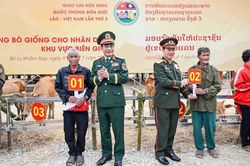 Giao lưu quốc phòng biên giới Việt Nam - Lào: Chung tay vun đắp đường biên hòa bình từ những việc làm thiết thực