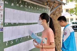 Có hay không sự bất thường trong loạt điểm 10 Toán ở Lào Cai, Hà Tĩnh?