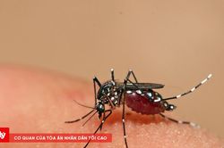 Người đ&agrave;n &ocirc;ng 27 tuổi tử vong do sốt xuất huyết