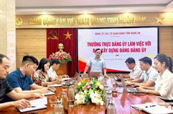 Thường trực Đảng ủy C&aacute;c cơ quan Đảng tỉnh l&agrave;m việc với Ban X&acirc;y dựng Đảng