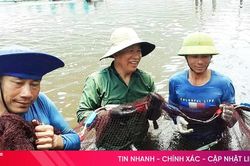 Lộc Hà phát huy lợi thế, nâng cao giá trị ngành thủy sản
