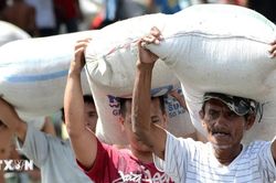 Philippines nhập khẩu gạo cao kỷ lục trong 6 tháng đầu năm