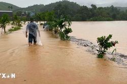 Mưa lớn gây ngập lụt tại một số địa phương ở tỉnh Lào Cai