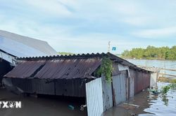 C&agrave; Mau: Thi&ecirc;n tai từ đầu năm tới nay g&acirc;y thiệt hại ước t&iacute;nh hơn 25 tỷ đồng