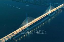 Đồng Nai thông qua phương án đầu tư 8 dự án đường sắt, cầu đường bộ chiến lược