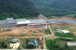 Nhà máy sản xuất ván tre 3.200 tỷ mở đường đưa cây tre Việt 'xuất ngoại'