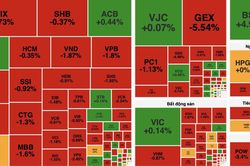 VN-Index giảm hơn 13 điểm, nhóm dầu khí ngược dòng nâng đỡ thị trường