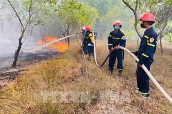 AI và viễn thám mở 'lá chắn số' bảo vệ rừng trước nguy cơ cháy