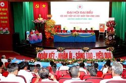 Hội Chữ thập đỏ Vĩnh Long: Từ trao tặng sang tạo sinh kế bền vững