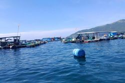 Khánh Hòa: Chủ tịch tỉnh chỉ đạo xử lý các chủ lồng bè, nhà bè nổi tự phát sau phản ánh của Báo Phụ nữ Việt Nam
