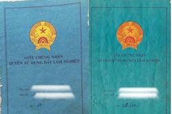 Sổ xanh là gì? Có chuyển sang sổ đỏ được không?